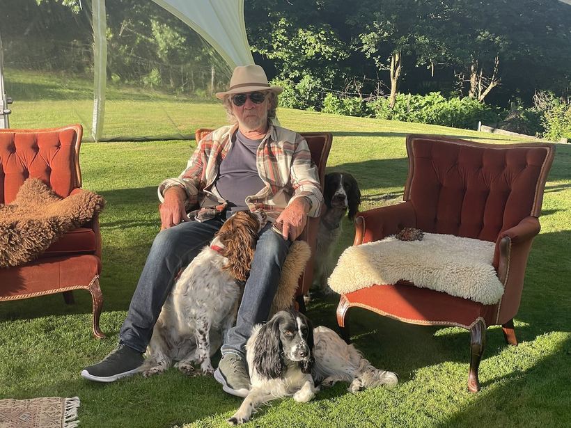 Surrounded by spaniels